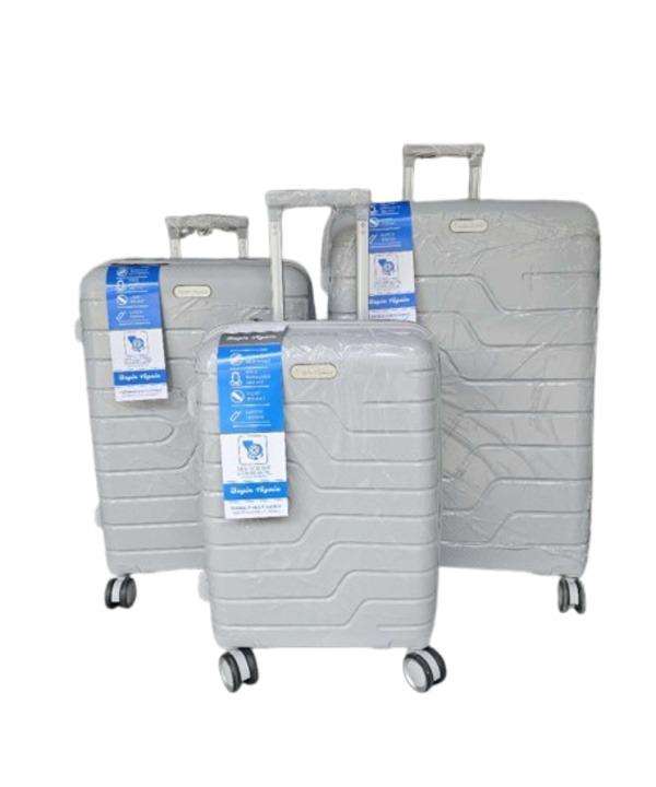 3-Piece Grey Hard Shell Luggage Set with Spinner Wheels & TSA Locks  Expandable Travel Suitcases SA