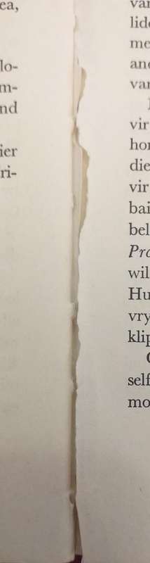 Heldin uit die vreemde - verhaal van Emily Hobhouse - Rykie van Reenen
