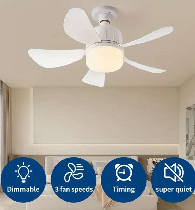 LED light and ceiling fan