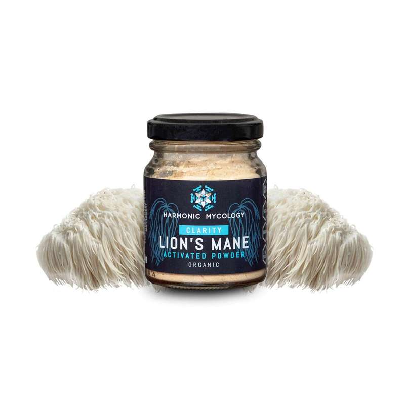 Lions Mane Powder  Harmonic Mycology