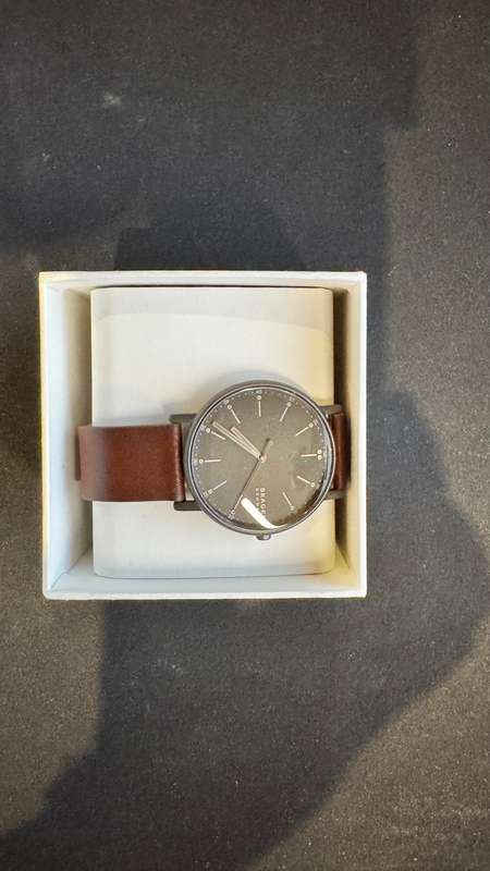 Skagen Men's Signatur
