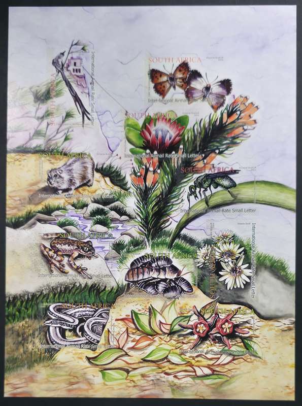 RSA 2004: The Ecology of Table Mountain - Self-adhesive M/S UMM: SACC 1667