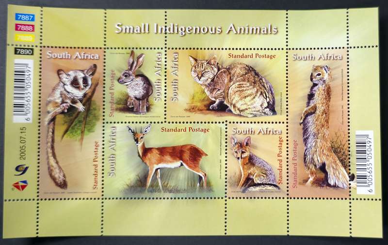 RSA 2005: Small Indigenous Animals - UMM M/S: SACC 1737