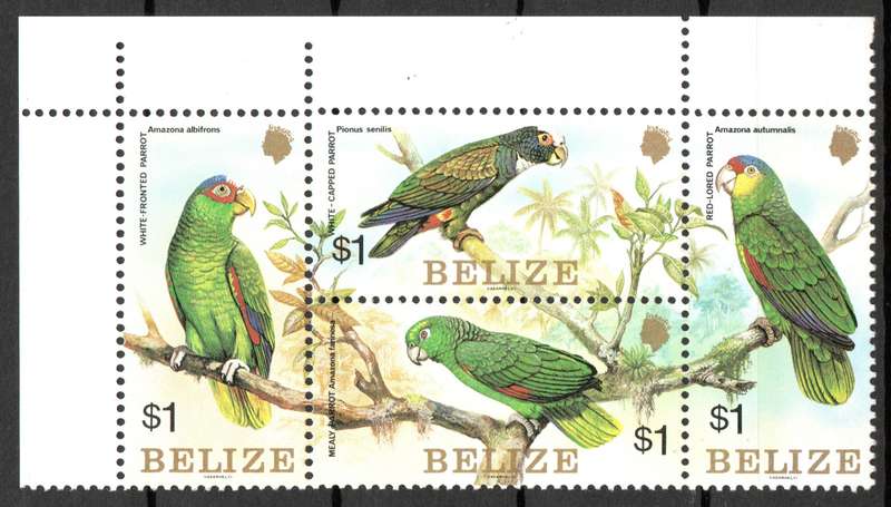 Belize 1984: Birds Set - UMM Block: SC739