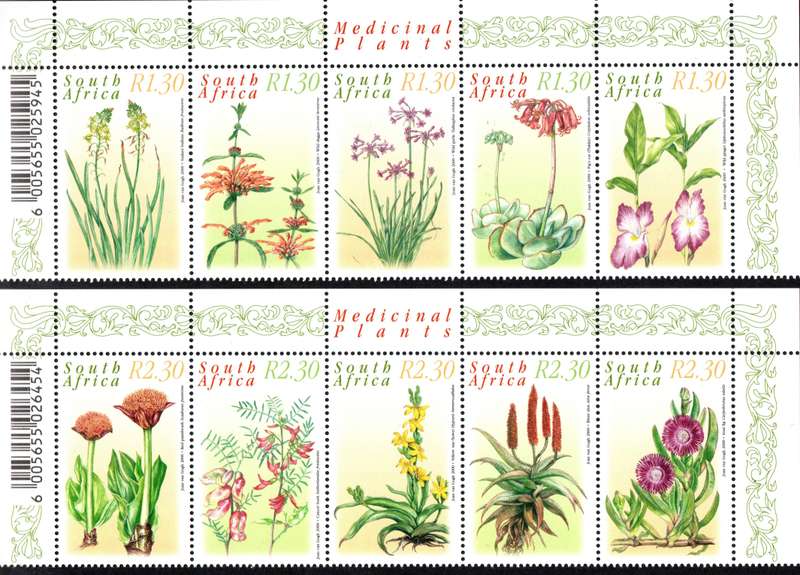 RSA 2000: Medicinal Plants: Both UMM Sheets: SACC 1270-1279