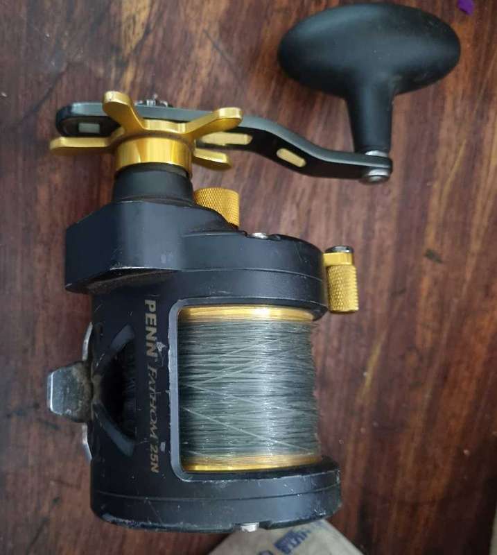 Penn Fathom 25N Reel