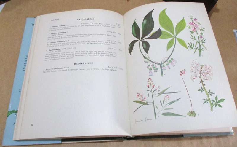 Wild Flowers of Natal (Inland Region) by Janet M. Gibson