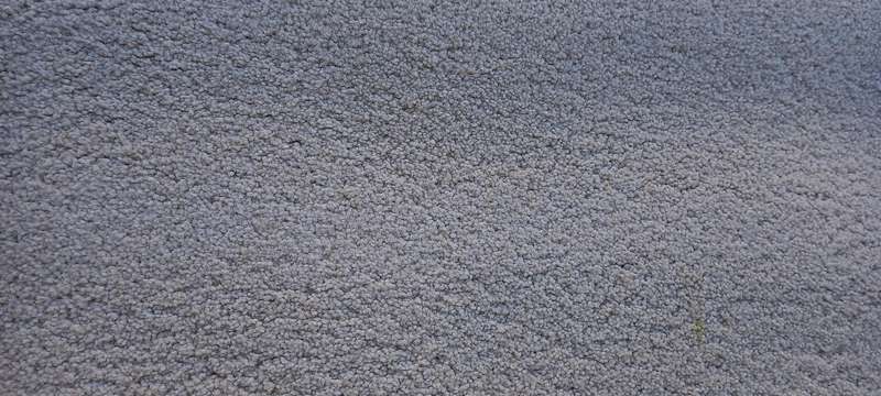 large heavy duty beige  carpet