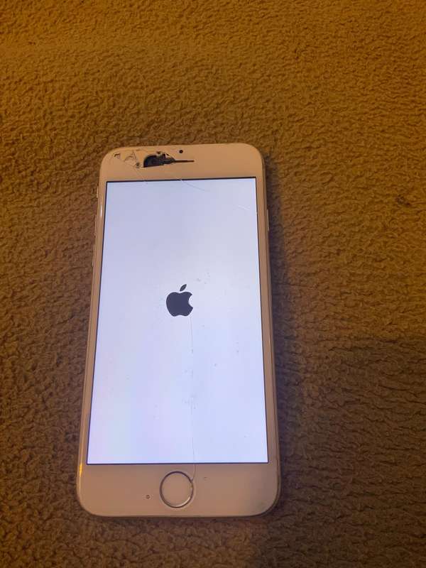 iPhone 6