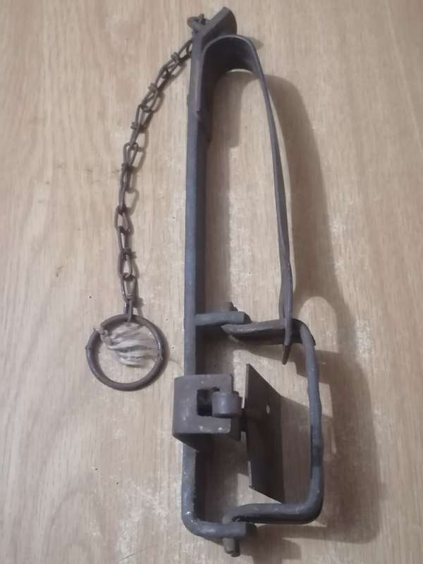 Rabbit Trap