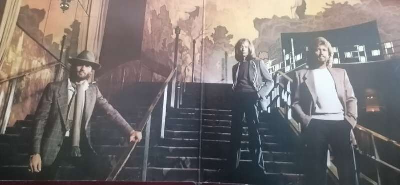Bee Gees, Living eyes, vinyl.