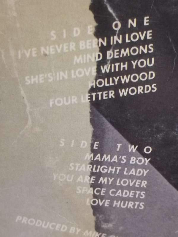 Suzi Quatro, and other four letter words vinyl.