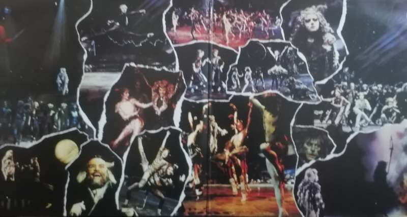 Cats, double album, vinyl's excellent.