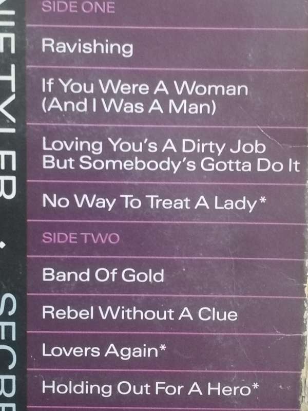 Bonnie Tyler, Secret dreams and forbidden fire, vinyl very good.
