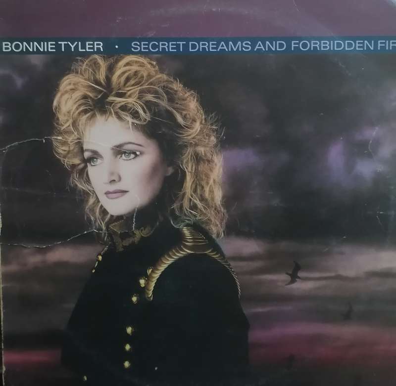Bonnie Tyler, Secret dreams and forbidden fire, vinyl very good.