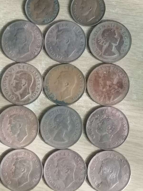 SA Union Pennies and half pennies.