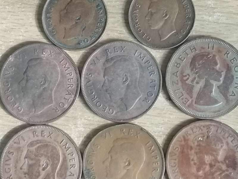 SA Union Pennies and half pennies.