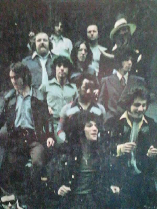 Sha na na, The Night is still young, vinyl very good.
