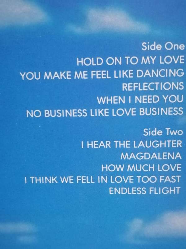 Leo Sayer, Endless Flight, vinyl very good- .