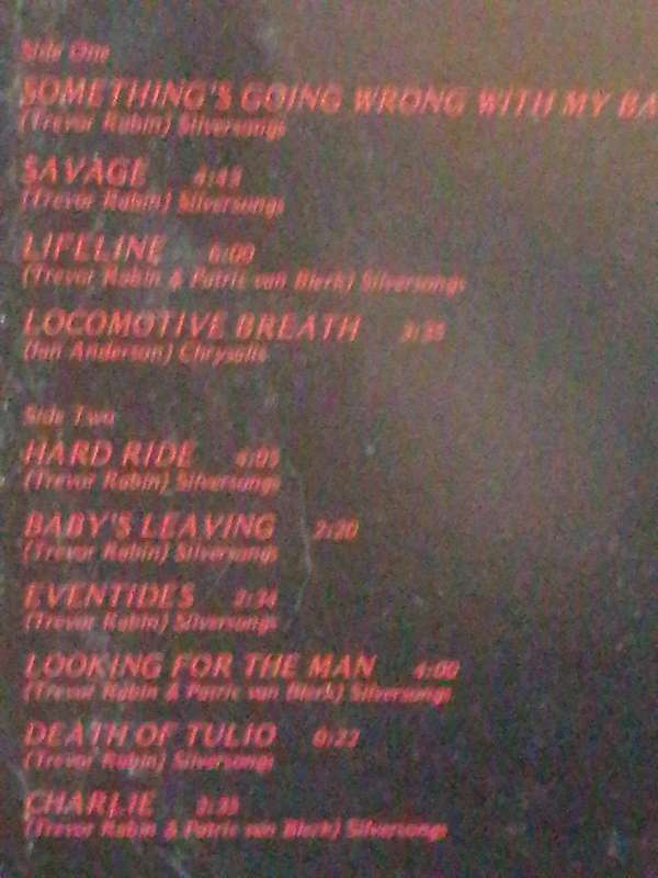 Rabbitt, Boys will be Boys!, vinyl very good.
