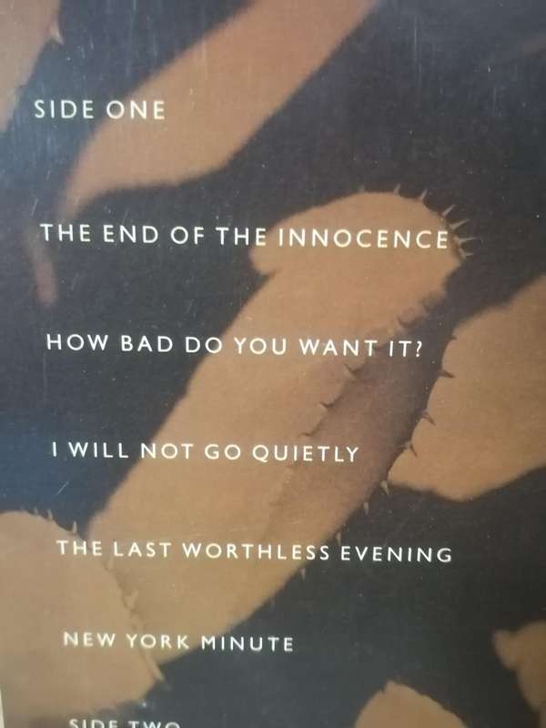 Don Henley, The end of the Innocence, vinyl very good+.