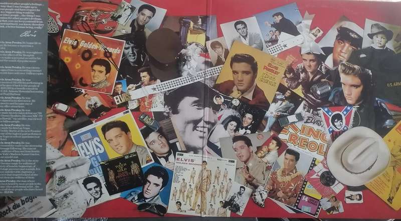 Elvis Plesley, The all time greatest hits ,Double album ,vinyl's excellent.