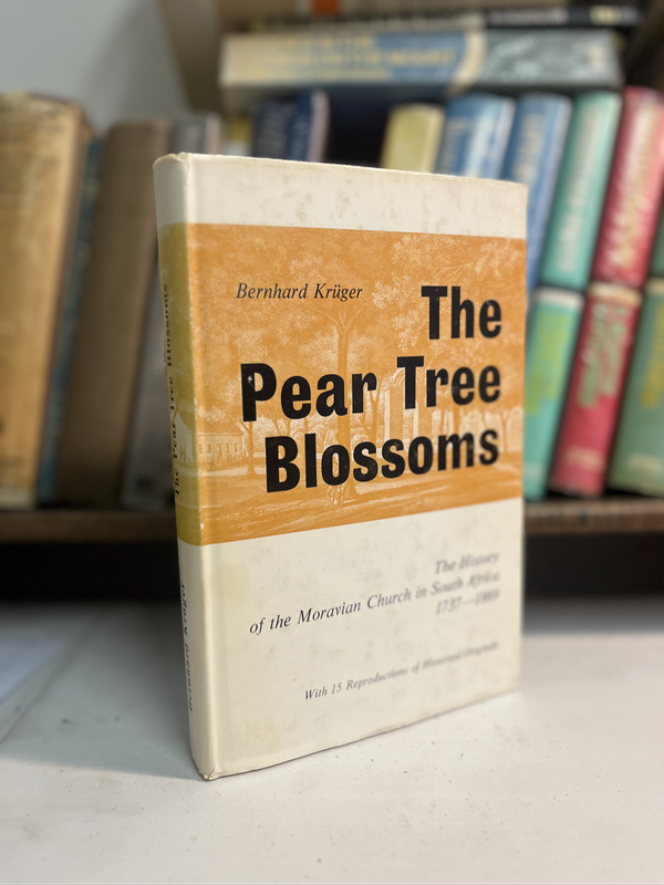 The pear tree blossoms Moravian church