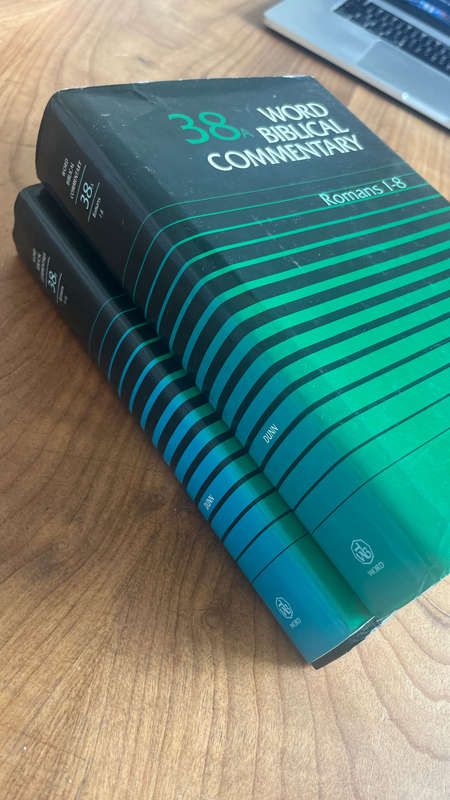 Romans commentary - James Dunn