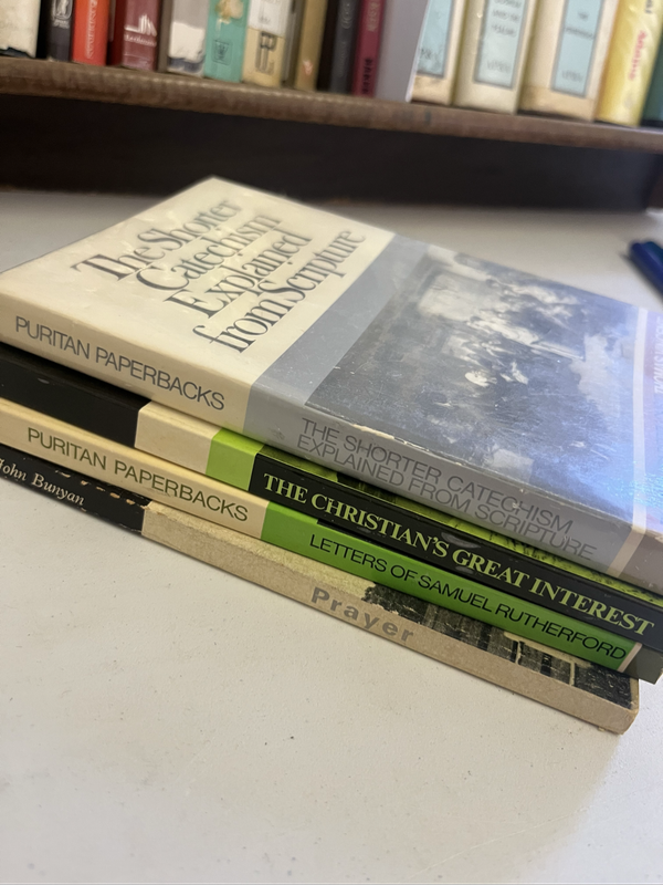 Puritan bundle Bunyan