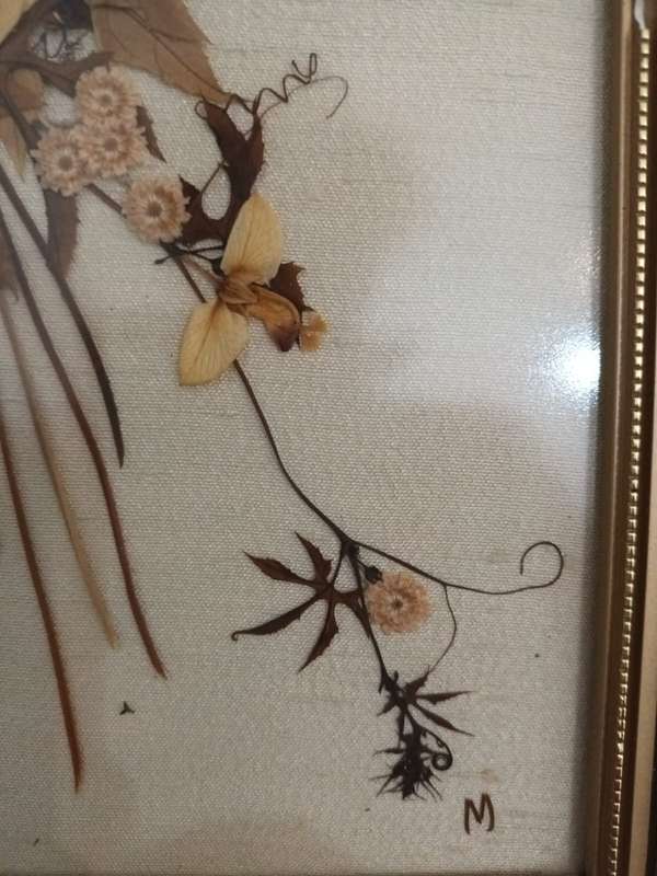 Framed, glazed vintage dried flower arrangement fixed to linen