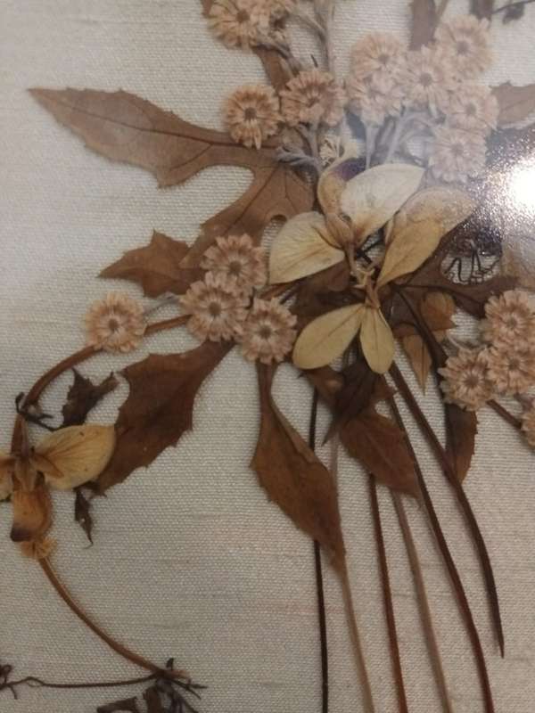 Framed, glazed vintage dried flower arrangement fixed to linen