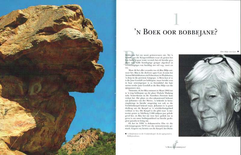 Bôgom (deur Attie Gerber) boek oor bobbejane (baboons)