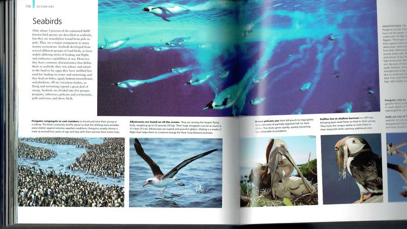 Oceans: a Visual Guide
