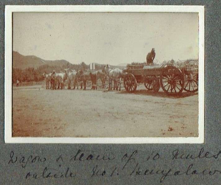 Photo album kept by Annie Augusta Jeffreys, Middelburg and England, 19051914