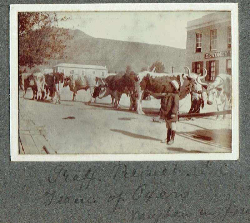 Photo album kept by Annie Augusta Jeffreys, Middelburg and England, 19051914