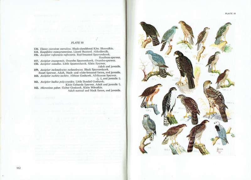 Birds of South Africa (Austen Roberts) McLachlan & Liversidge