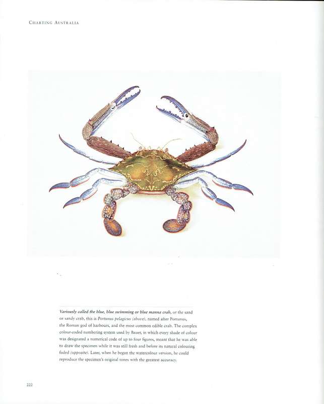 Voyages of Discovery: Three Centuries of Natural History Exploration (Tony Rice)