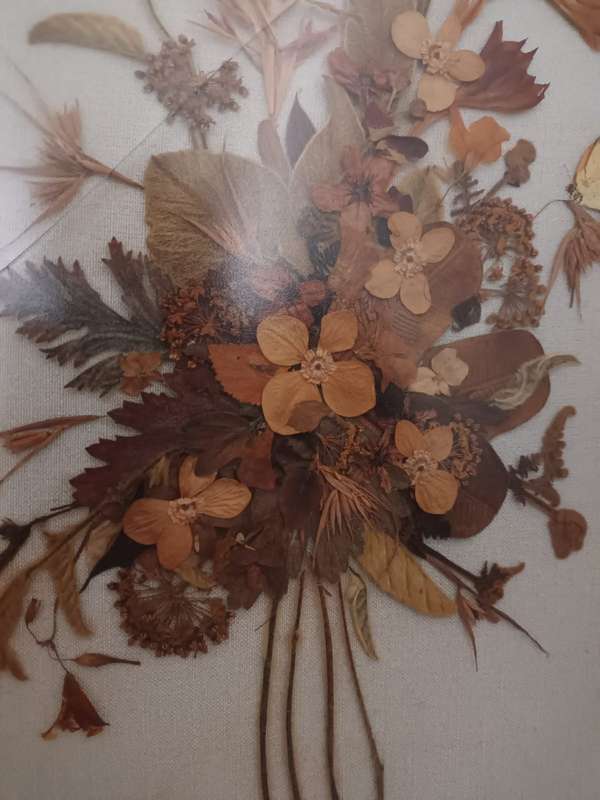 Large framed, glazed vintage dried flower arrangement fixed to linen
