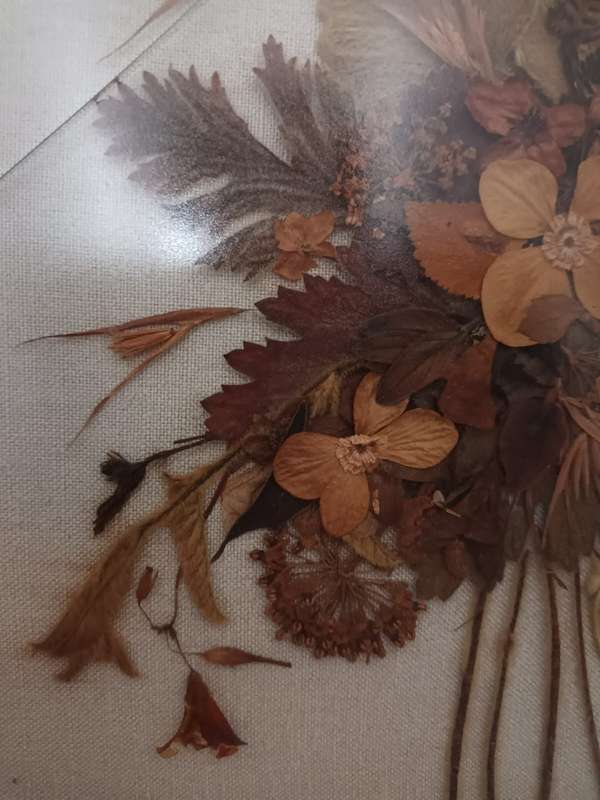 Large framed, glazed vintage dried flower arrangement fixed to linen