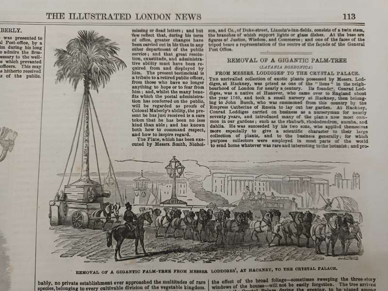 Crystal Palace and the Great Exhibition, 1850s, Illustrated London News engravings