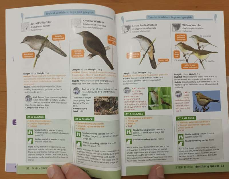 Doug Newnam & Gordon King, Southern African LBJs Made Simple. (Birds)