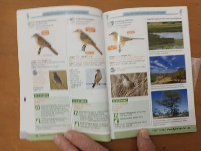 Doug Newnam & Gordon King, Southern African LBJs Made Simple. (Birds)