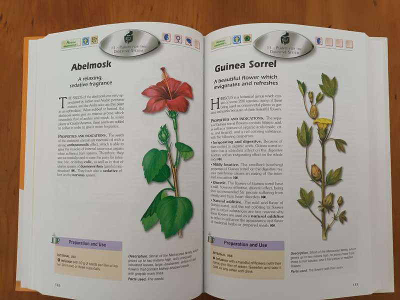 Healthy Plants (book and DVD)