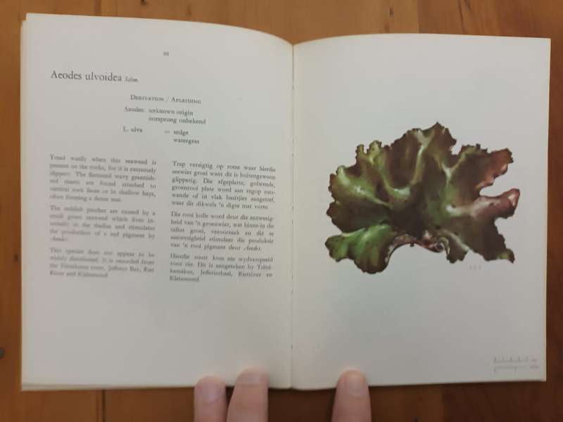 The Seaweeds of the Tsitsikama Costal National Park