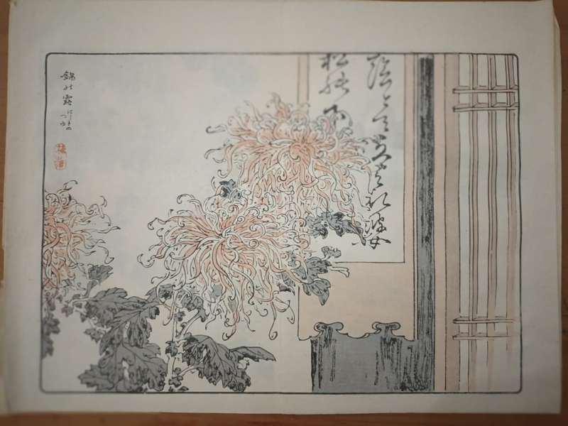 Kono Bairei (1844 - 1895), 12 original Japanese woodblock prints of crysanthemums