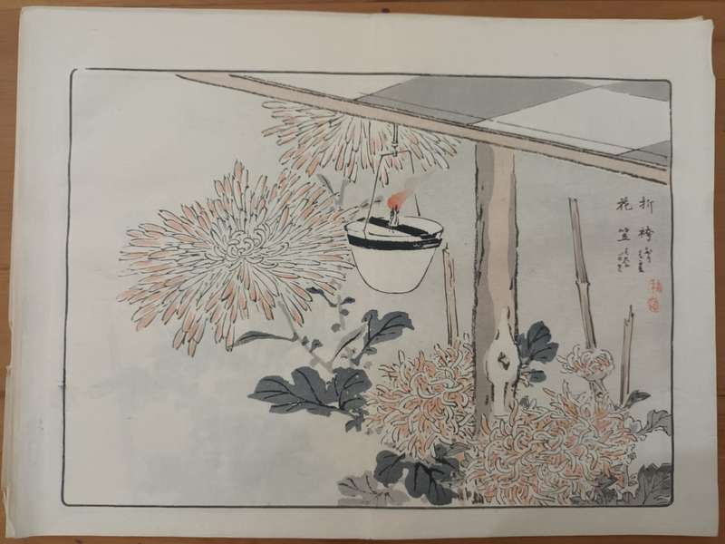 Kono Bairei (1844 - 1895), 12 original Japanese woodblock prints of crysanthemums