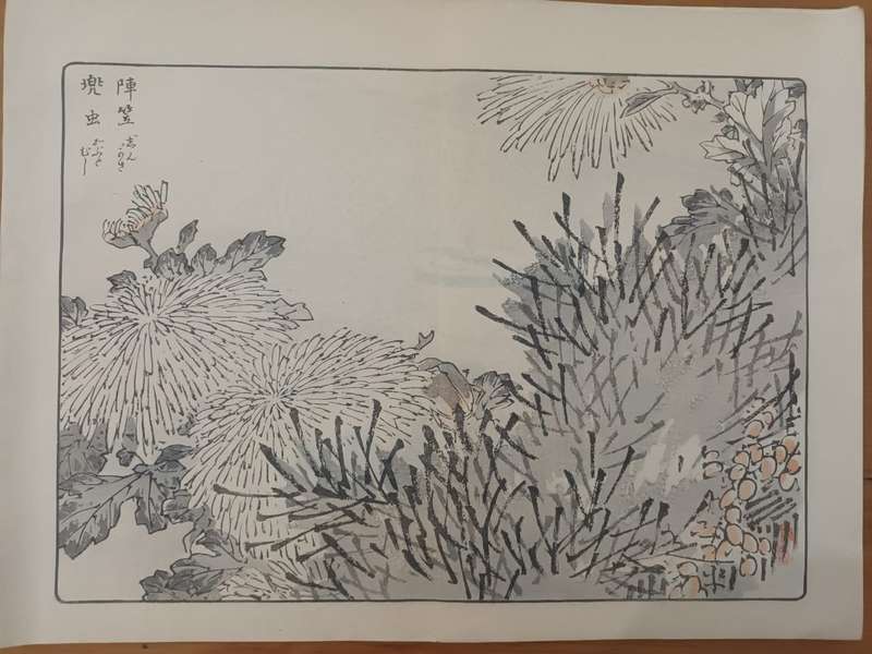 Kono Bairei (1844 - 1895), 12 original Japanese woodblock prints of crysanthemums