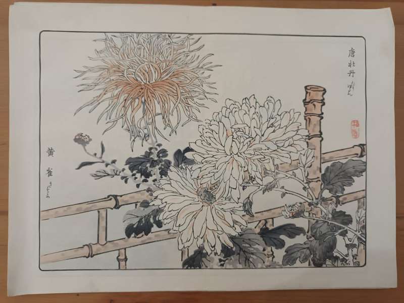 Kono Bairei (1844 - 1895), 12 original Japanese woodblock prints of crysanthemums