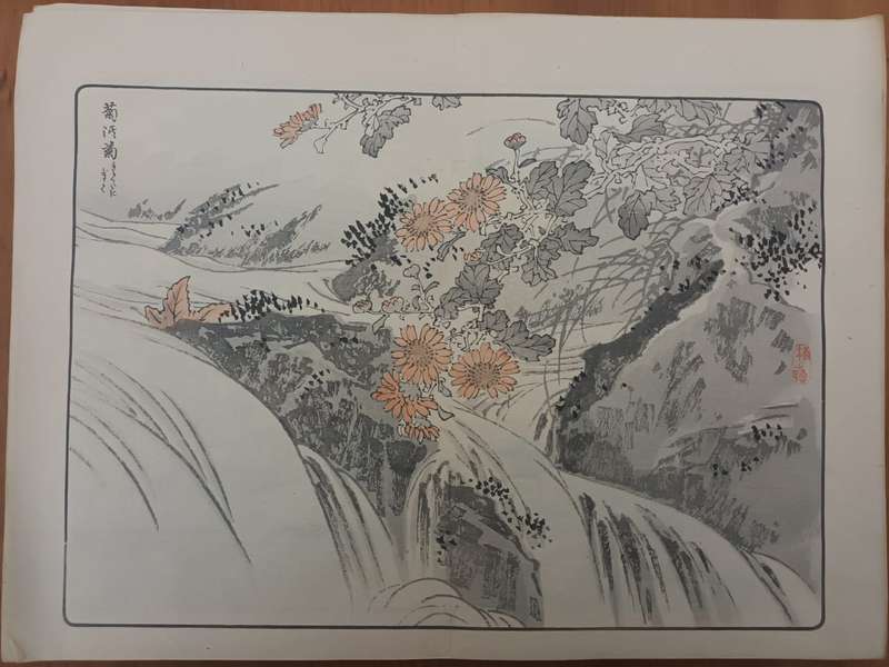 Kono Bairei: 11 original Japanese woodblock prints of chrysanthemums, 1890s