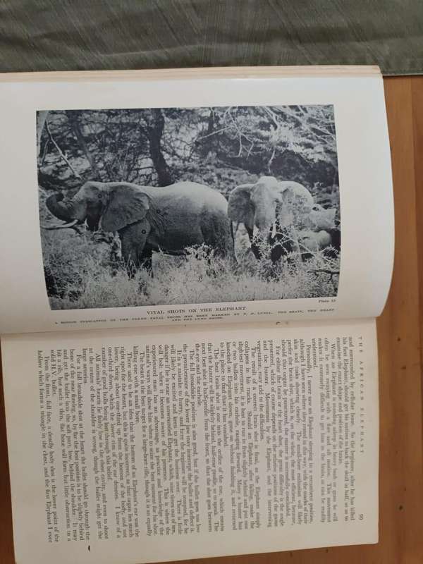 Major H C Maydon (and others), Big Game Shooting in Africa (1932)